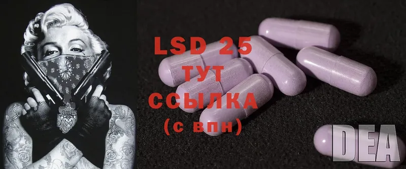 блэк спрут зеркало  как найти закладки  Выборг  LSD-25 экстази ecstasy 